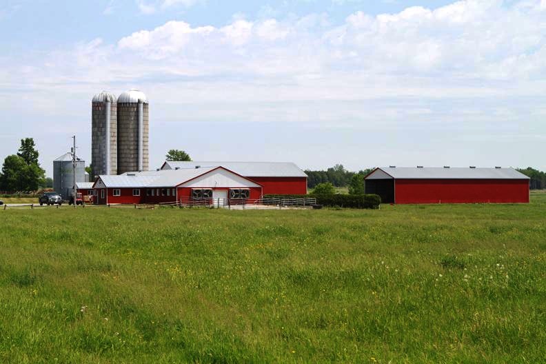 Canadian canola meal supply for dairy cattle feed