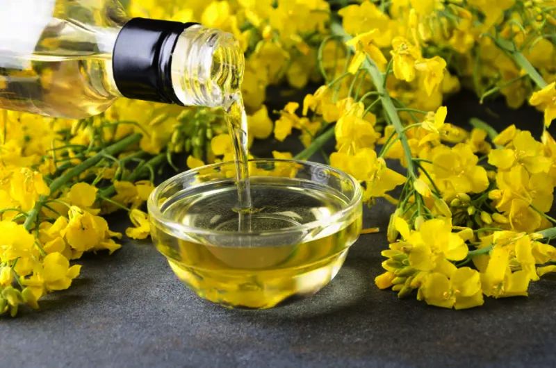 Canadian canola oil supplier for commercial markets